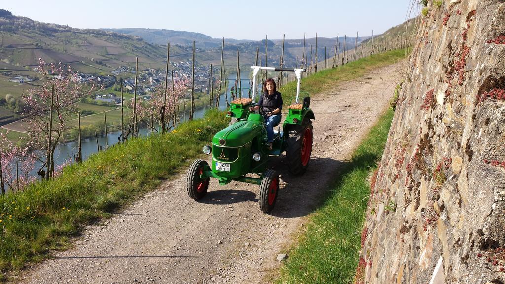 Weingut Hirschen Enkircherweg Burg  객실 사진