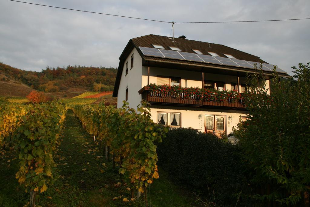 Weingut Hirschen Enkircherweg Burg  외부 사진